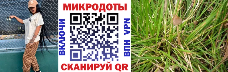 где можно купить наркотик ОМГ ОМГ ТОР Псилоцибиновые грибы MAGIC MUSHROOMS Ясный