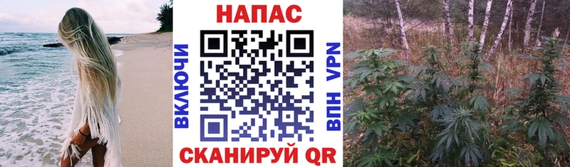 Конопля марихуана  Ясный 